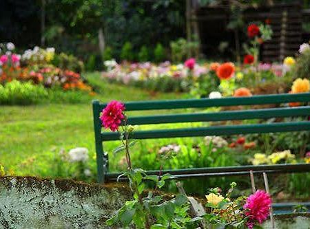 Oak Field Resort Munnar Εξωτερικό φωτογραφία