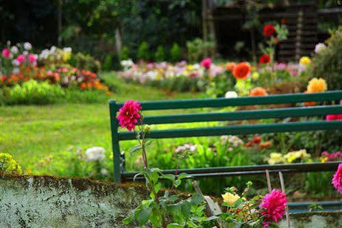 Oak Field Resort Munnar Εξωτερικό φωτογραφία