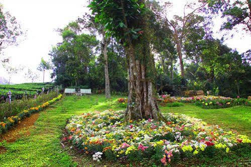 Oak Field Resort Munnar Εξωτερικό φωτογραφία